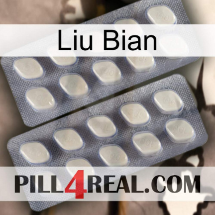 Liu Bian 07